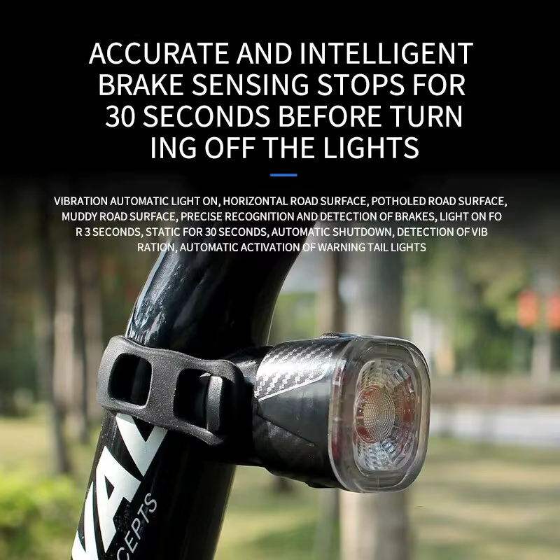 Enquêter arrière intelligent IPx6 de type C pour vélo