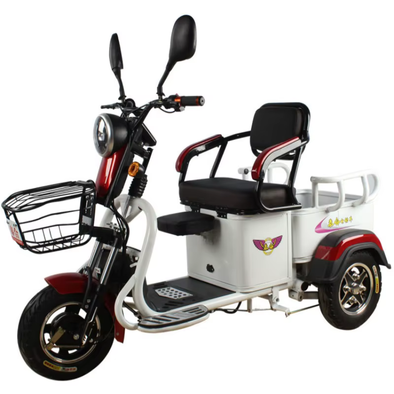 Tricycle électrique à 3 roues pour adultes
