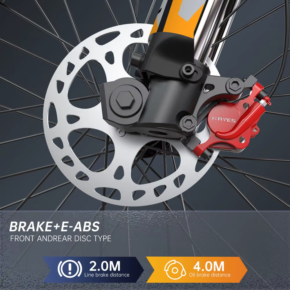 FVKING E6 vélo électrique adulte moteur de crête 2000W