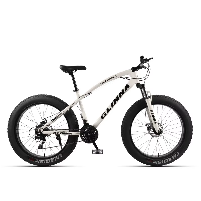 Suspension complète 26 pouces roue 4.0 gros vélo