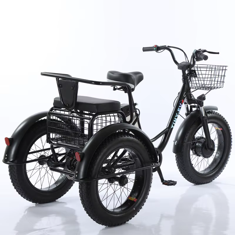 Tricycle électrique à 3 roues pour adultes