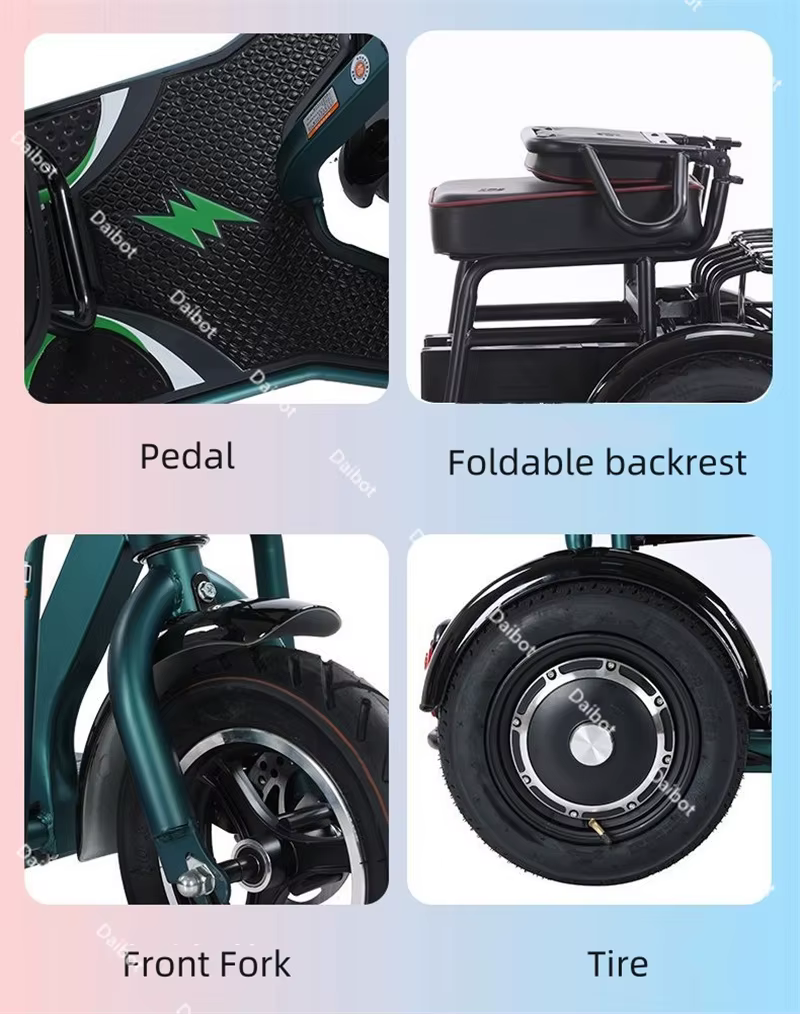 Tricycle électrique à double moteur