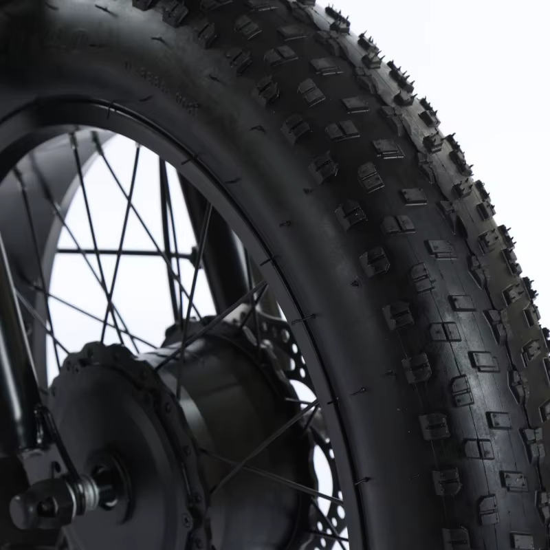 Tricycle électrique assisté au pied de 20 pouces