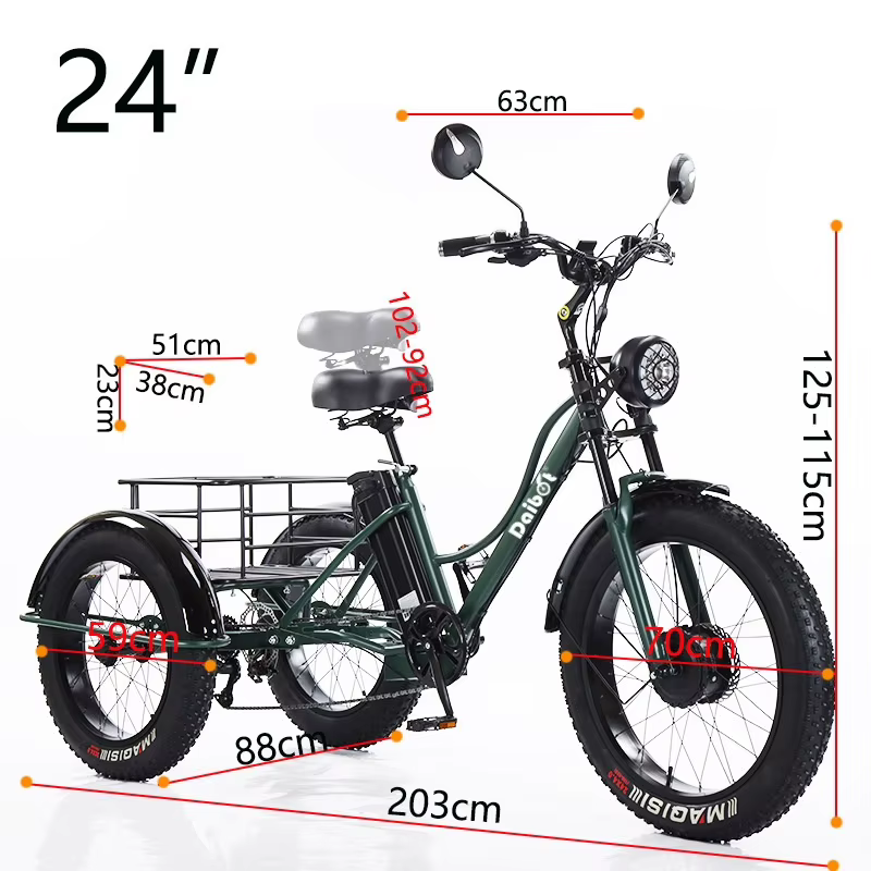 24 pouces gros pneu puissant vélo électrique pour hommes 750w Cargo Tricycle