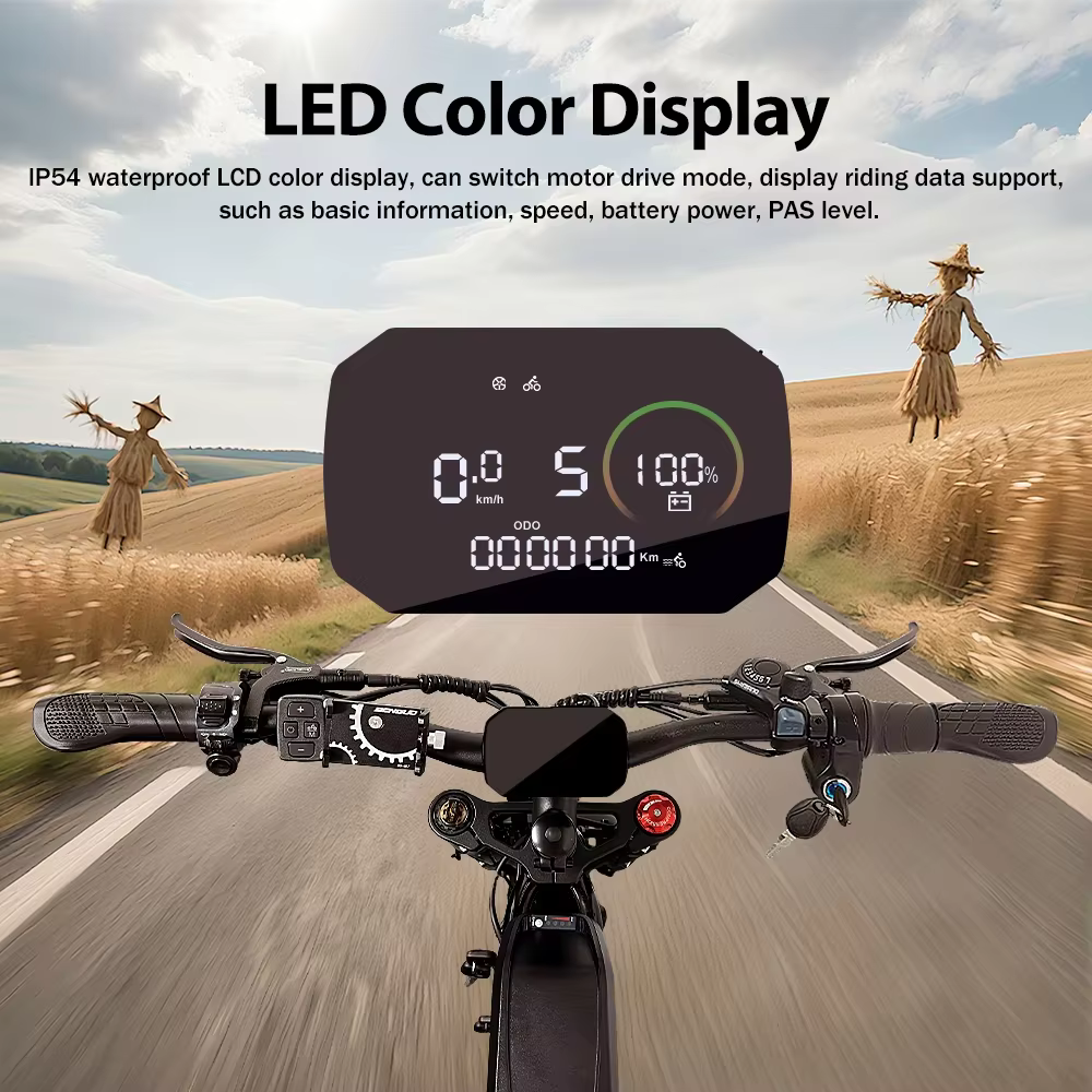 Vélo électrique tout-terrain DEEPOWER S8Advance 3500W48V60A
