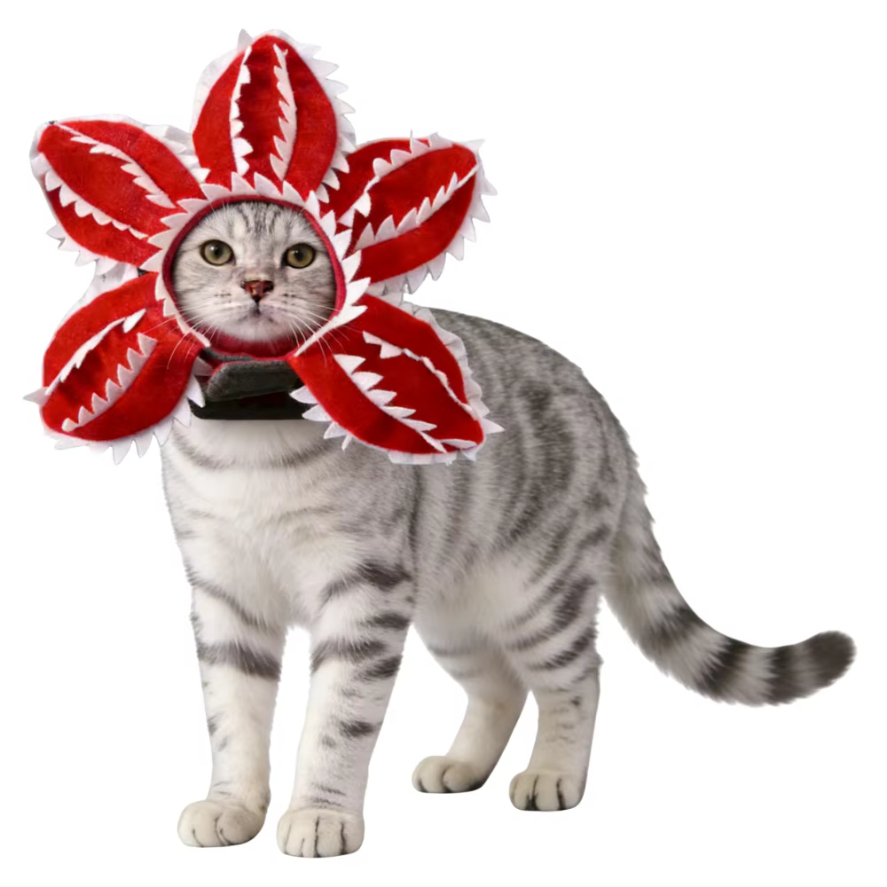 Chapeau de personnage de dessin animé 2026 pour cosplay, accessoire mignon d'Halloween pour animaux de compagnie, chapeau de dessin animé Demogorgon, cadeau pour enfants