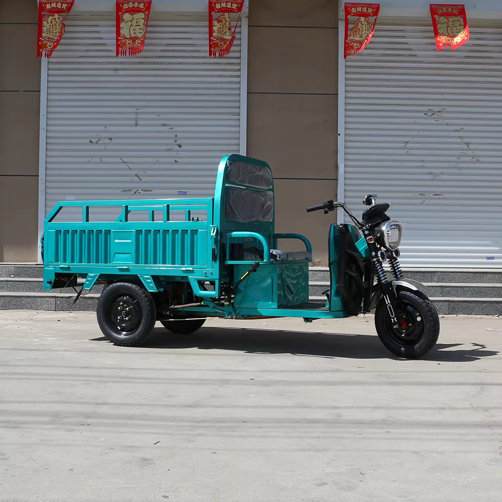 Nouveau tricycle électrique 1000W pour usage familial