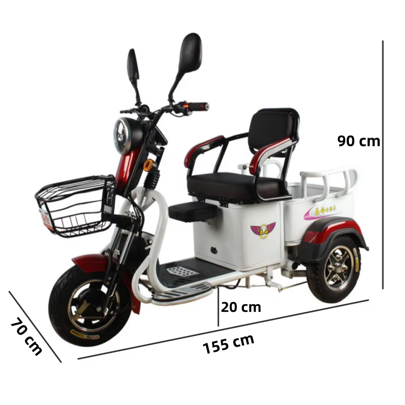 Tricycle électrique Cargo puissant pour adulte