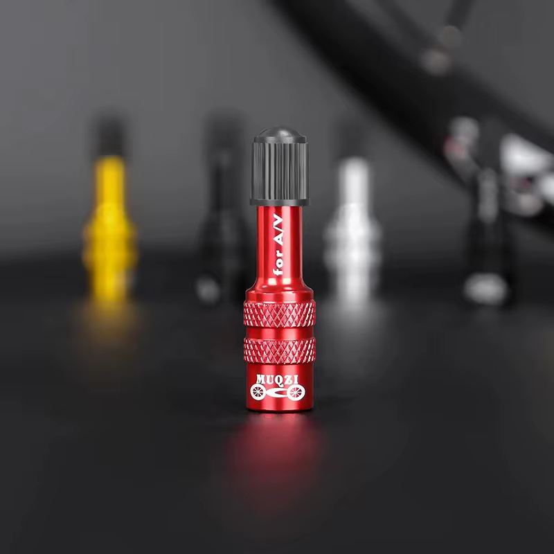 Adaptateur de valve de fourche de vélo