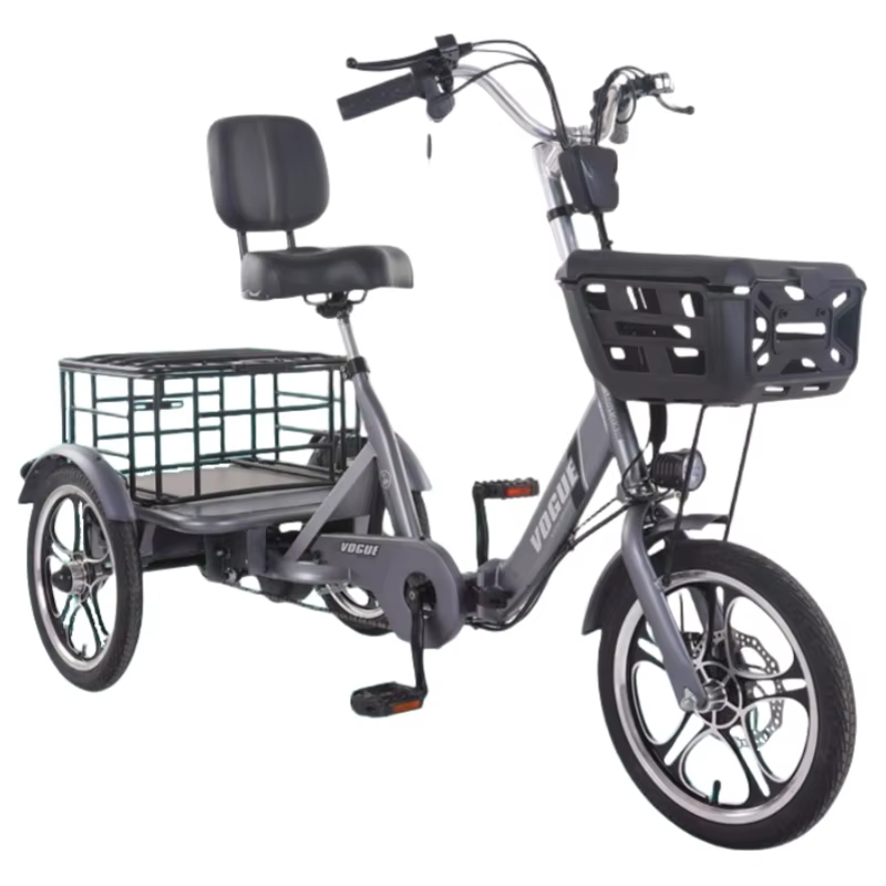 400W adulte Cargo vélo électrique nouveau Tricycle