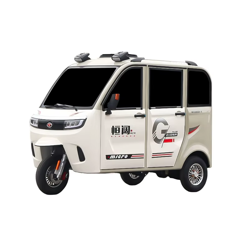 Nouveau tricycle électrique adulte à vendre
