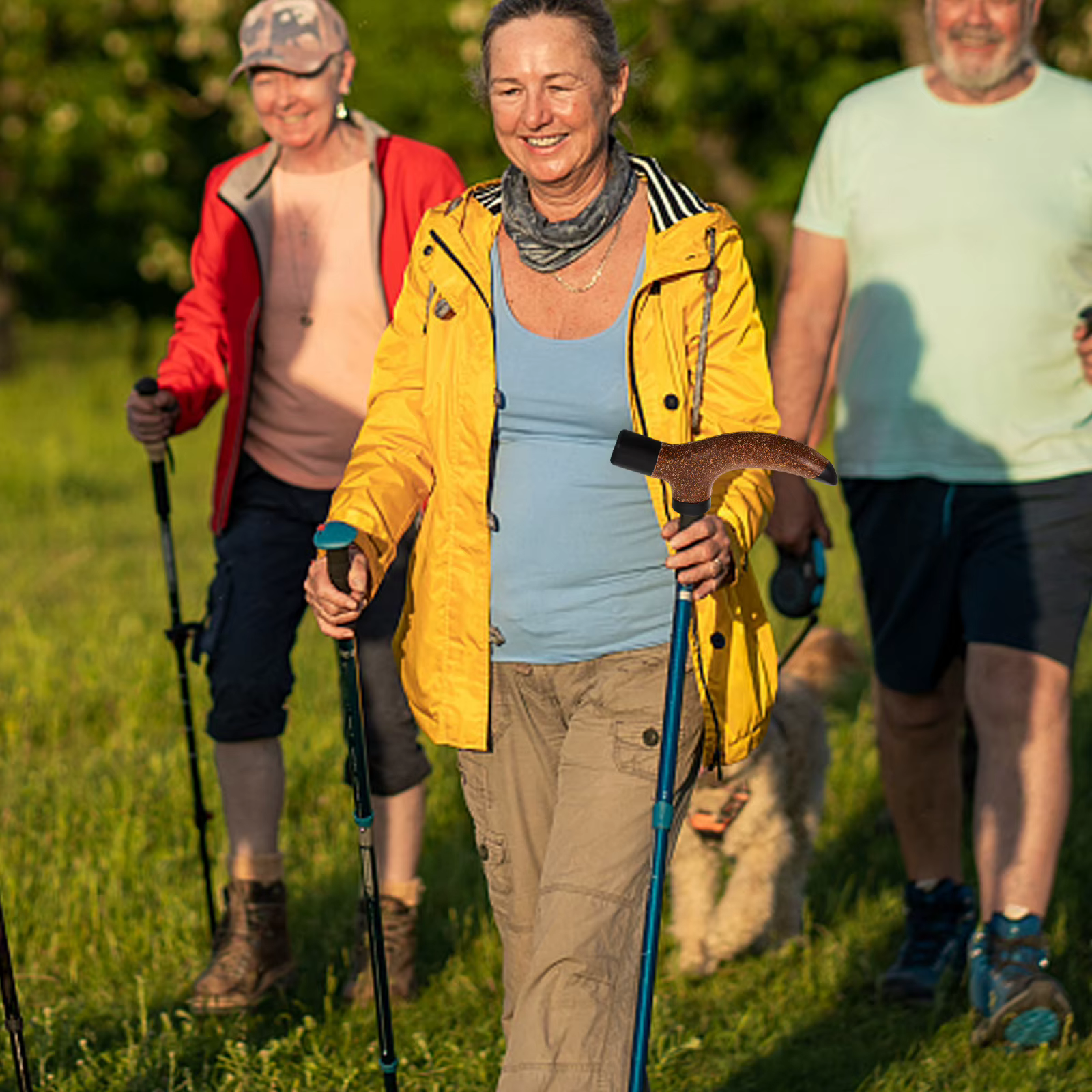 Poignée de canne à trekking en bois