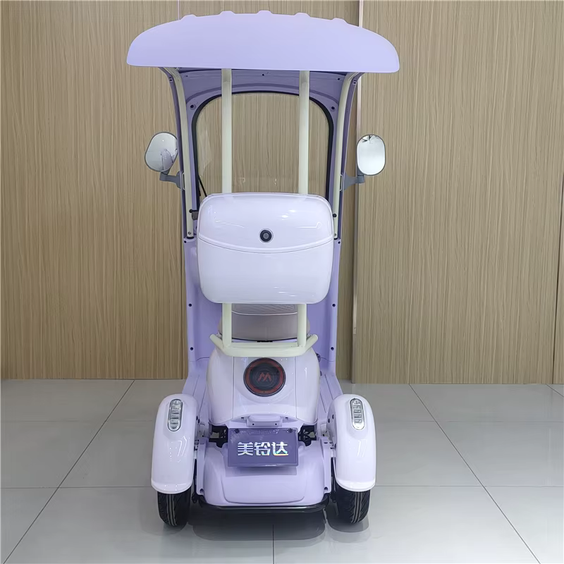 Tricycle électrique de loisirs à 3 roues 60V