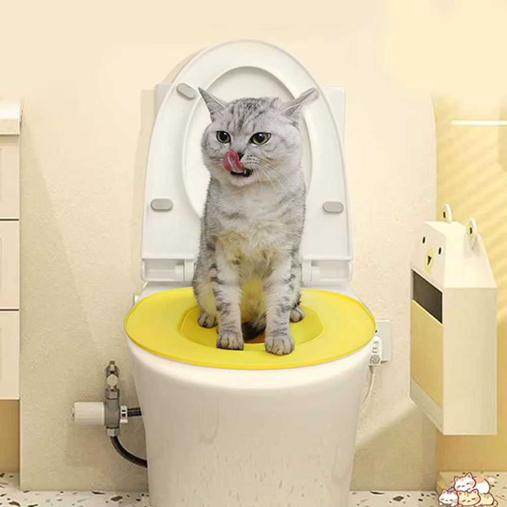 Système d'entraînement aux toilettes pour chats, Kit d'entraînement aux toilettes pour chats, enseigner à utiliser, siège de toilette réutilisable, Kit d'entraînement, outil de siège d'entraînement