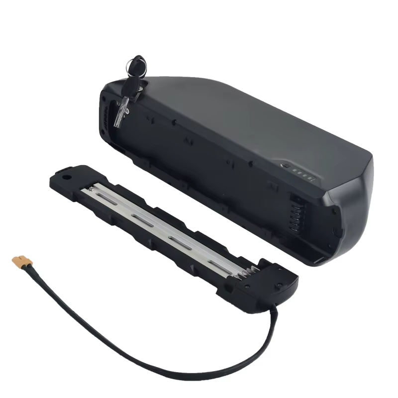 Polly-Batterie lithium-ion 48V